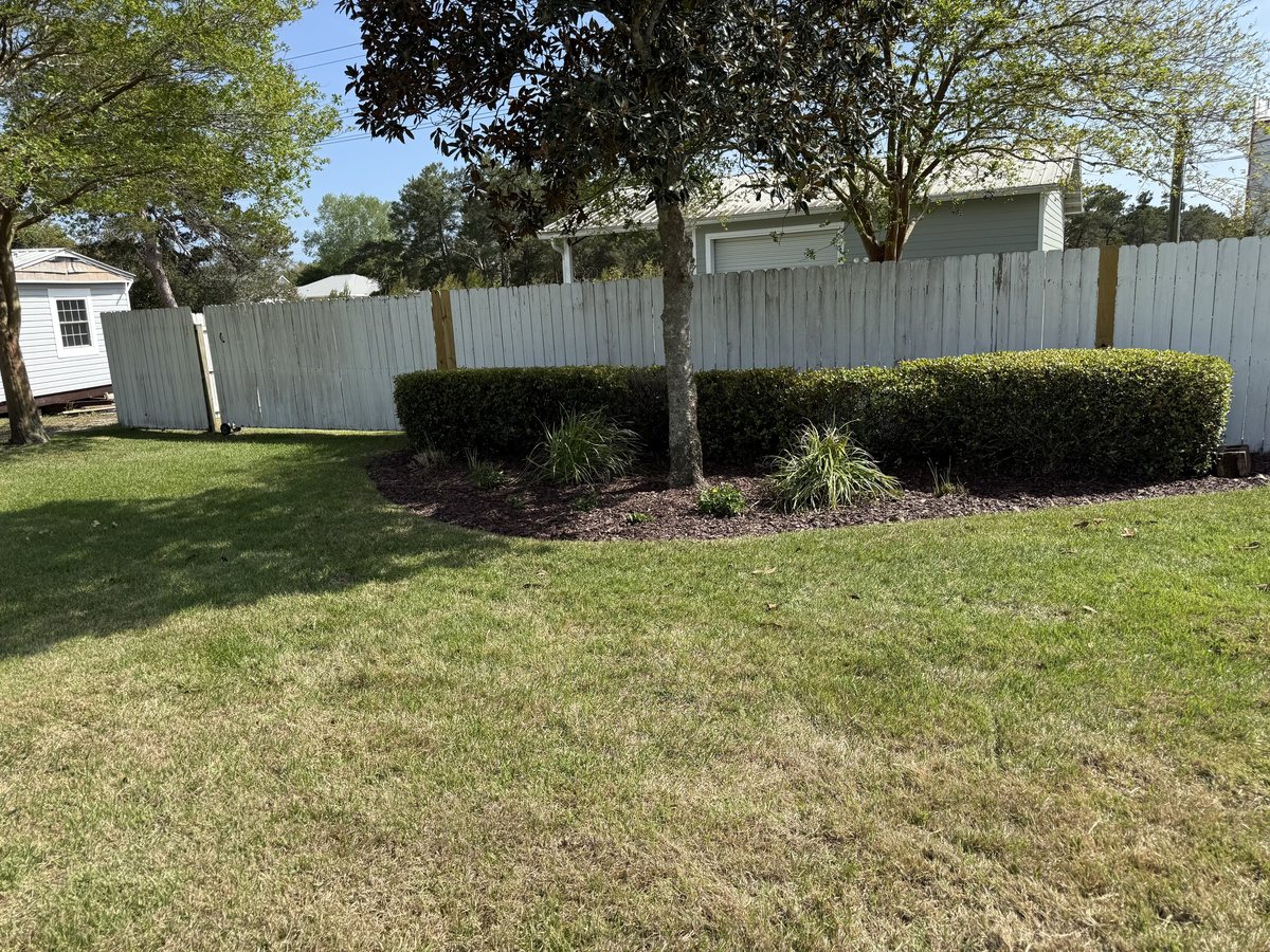 Backyard privacy hedge install with shaped shrubs and fresh mulch alongside a wood fence, Lynn Haven, FL