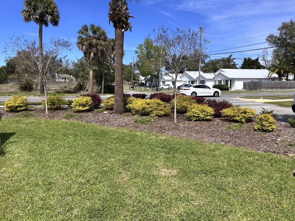 Spiced Up Lawn Service project 2 in Lynn Haven, FL